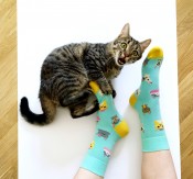 Banana Socks Cat lover
