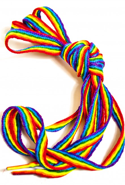 pride rainbow skosnöre